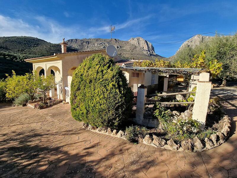 Villa à vendre dans Alcaucin, Málaga