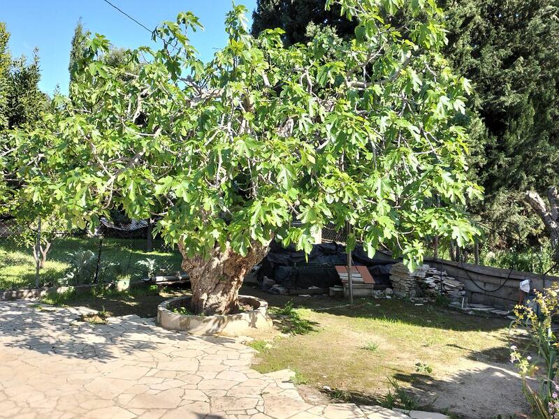 3 chambre Auberge à vendre