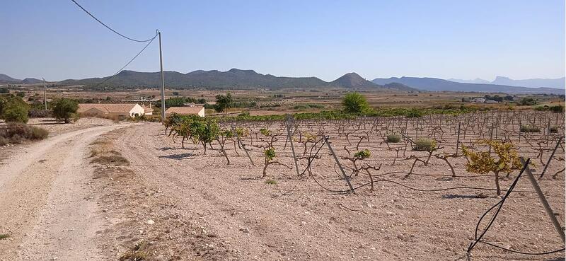 Terrenos en venta