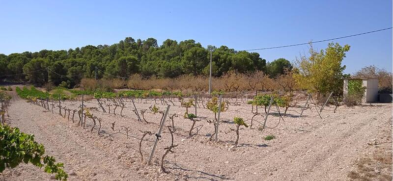 Terrenos en venta