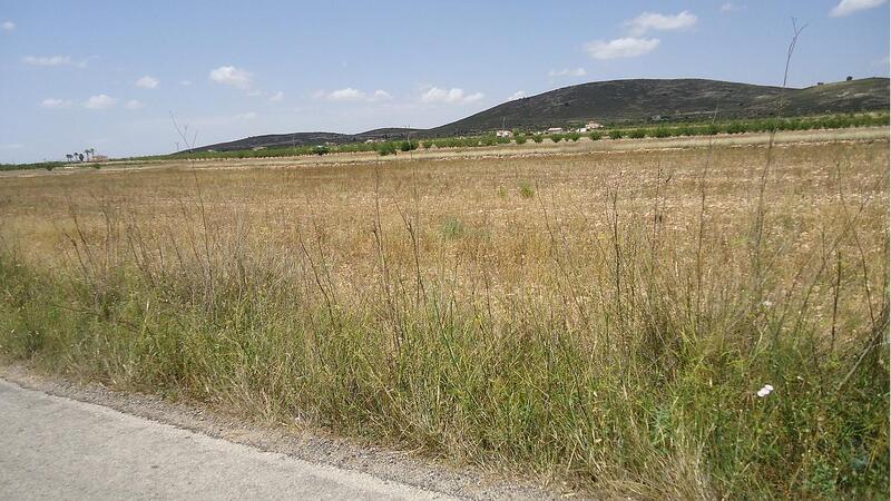 Land for sale