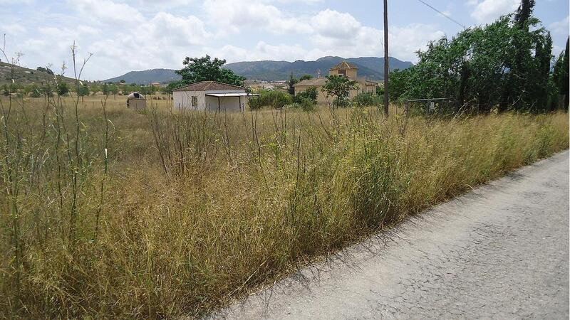 Land for sale