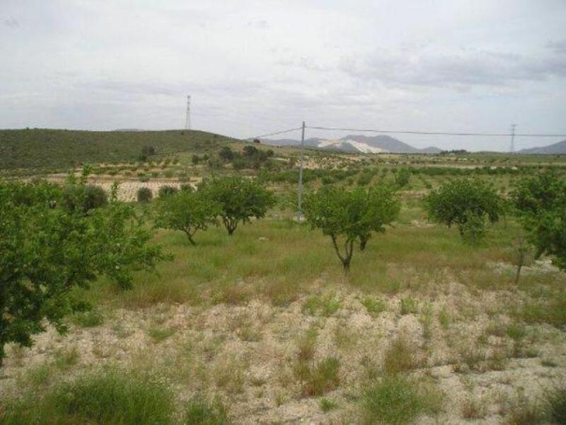 Land for sale