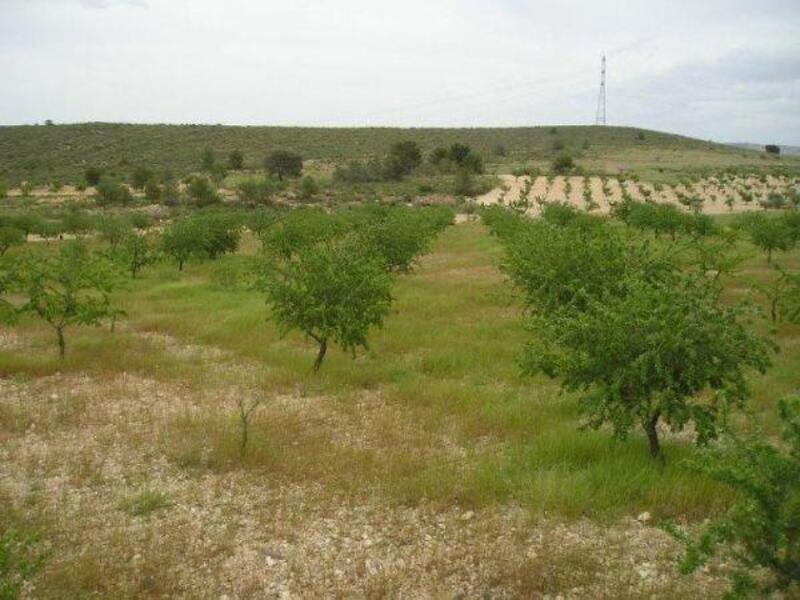 Land for sale