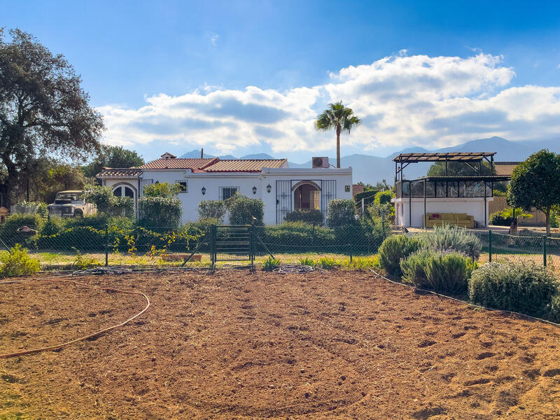 3 Cuarto Casa de Campo en venta