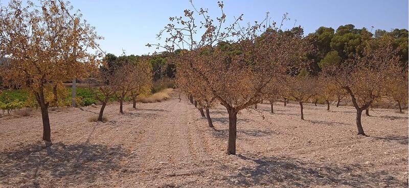 Terrenos en venta