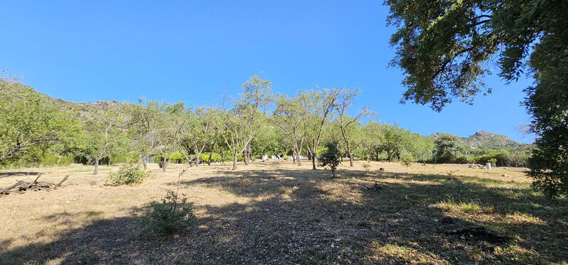 Terrenos en venta