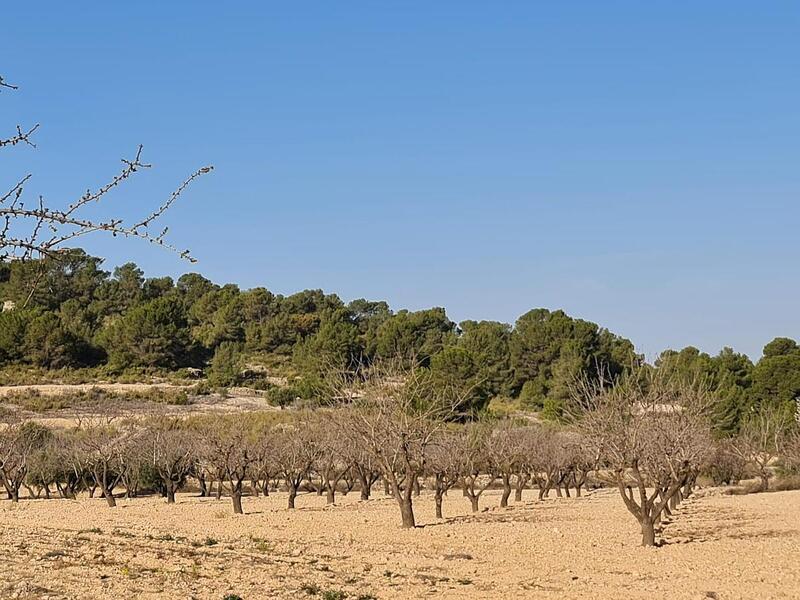 Terrenos en venta