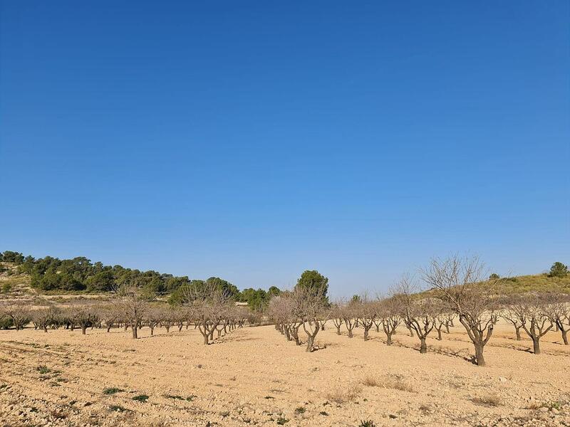 Terrenos en venta