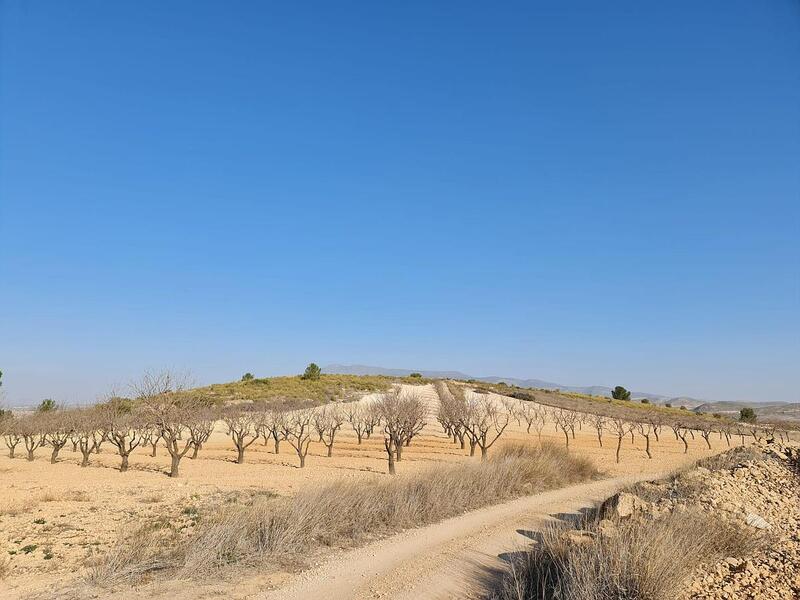 Terrenos en venta