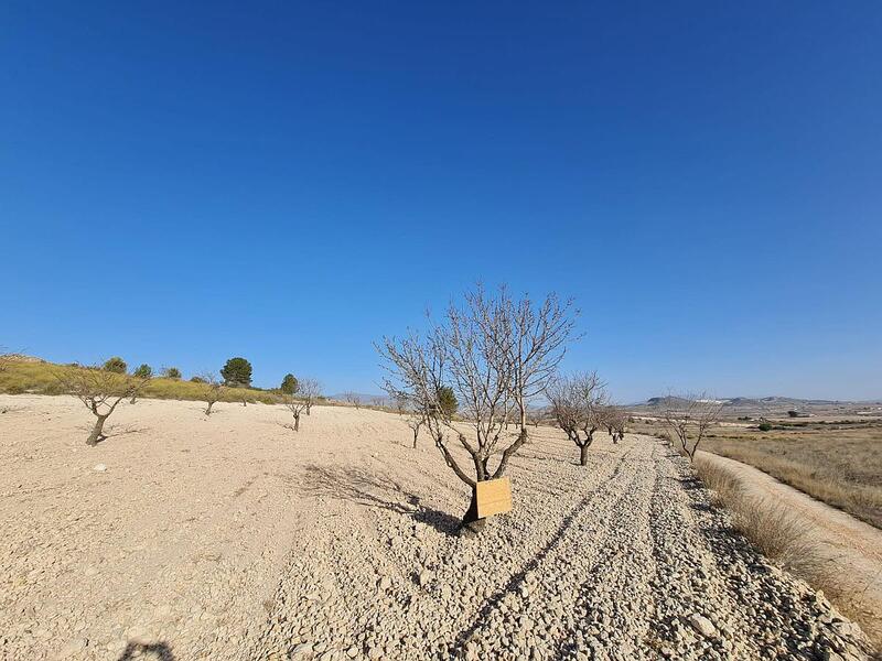 Grundstück zu verkaufen in Jumilla, Murcia