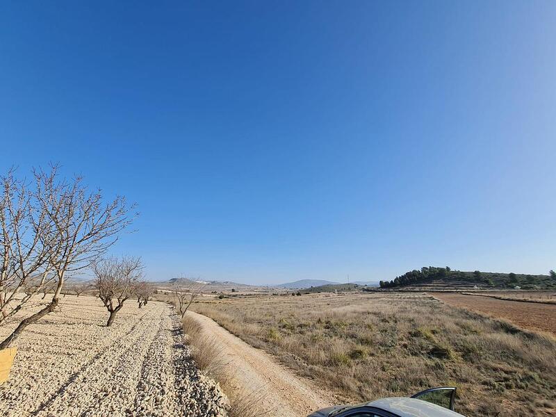 Terrenos en venta