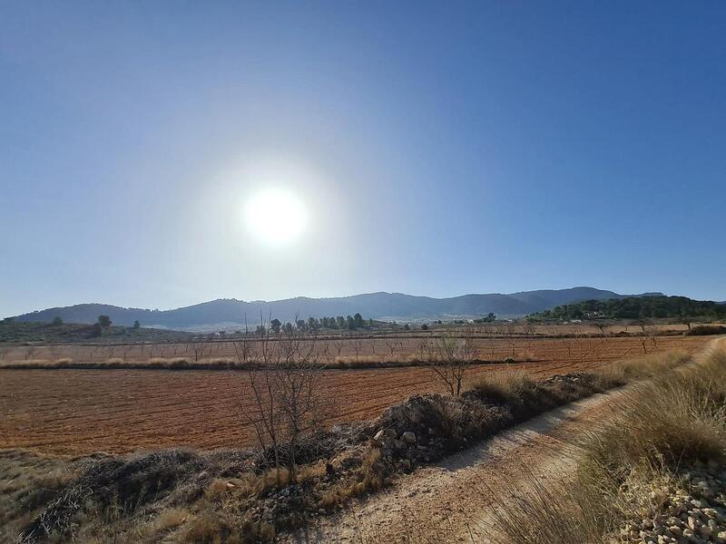 Terrenos en venta