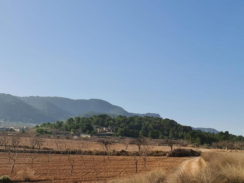 Terrain à vendre