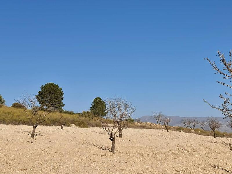 Terrenos en venta