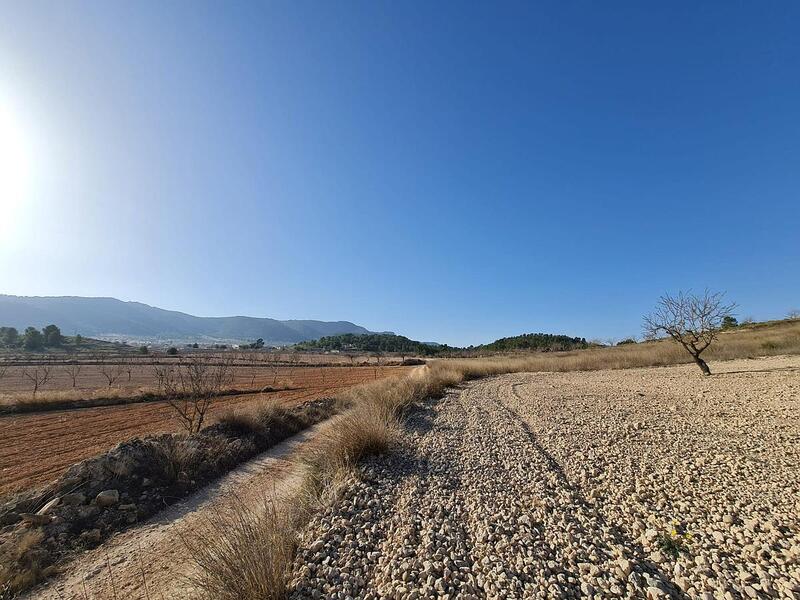 Terrain à vendre