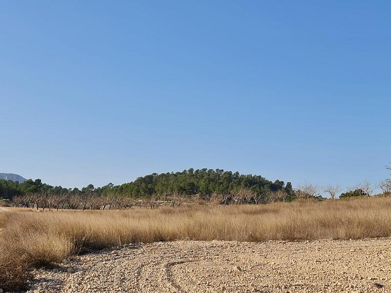 Terrenos en venta