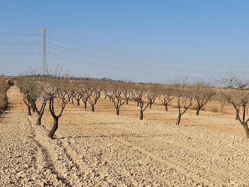 Terrenos en venta