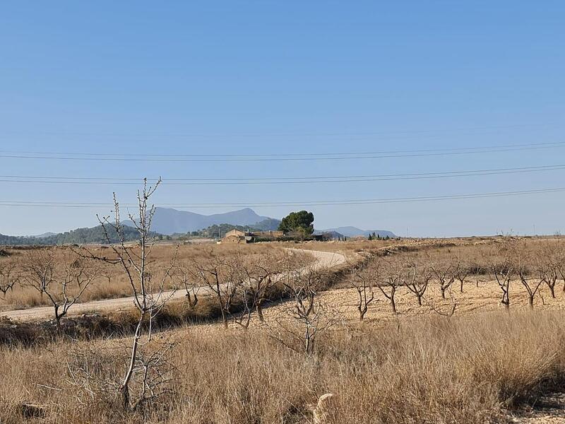 Terrenos en venta