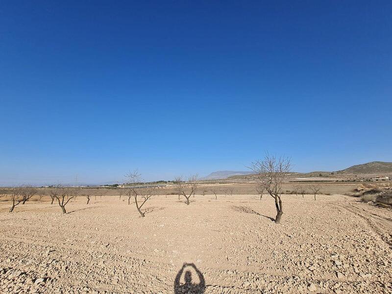 Terrenos en venta