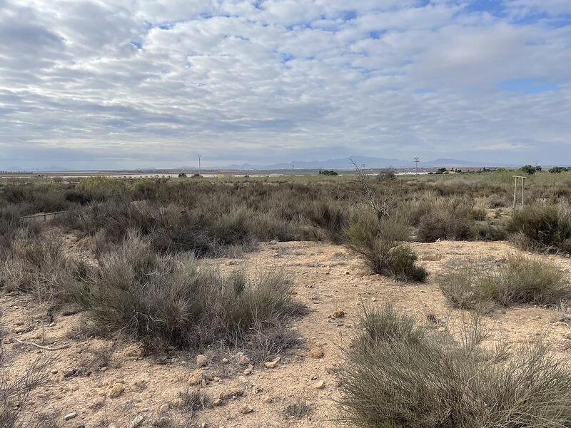 Land for sale