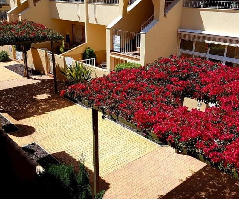 3 Cuarto Apartamento en venta