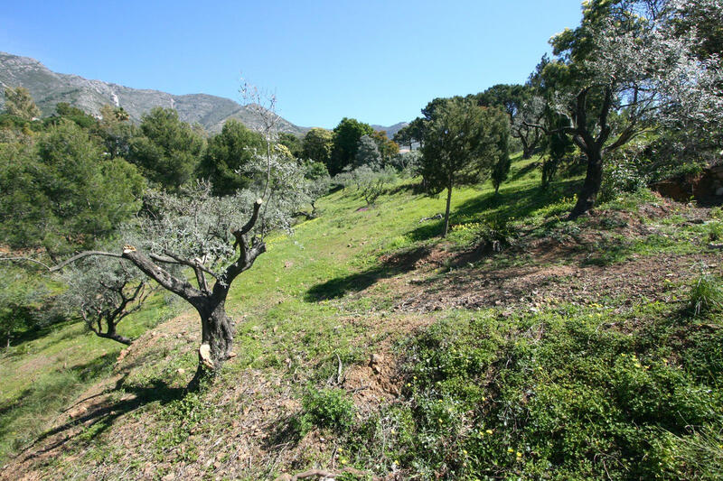 Terrain à vendre