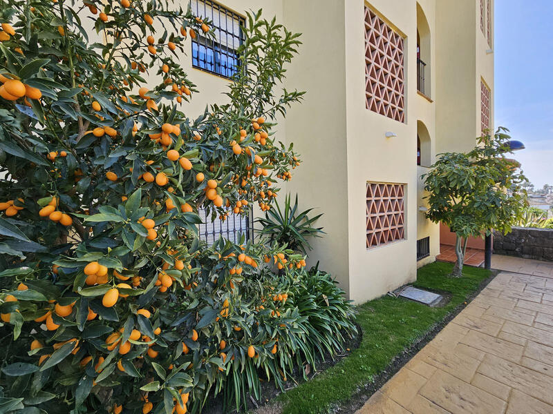 Appartement zu verkaufen in Selwo, Málaga