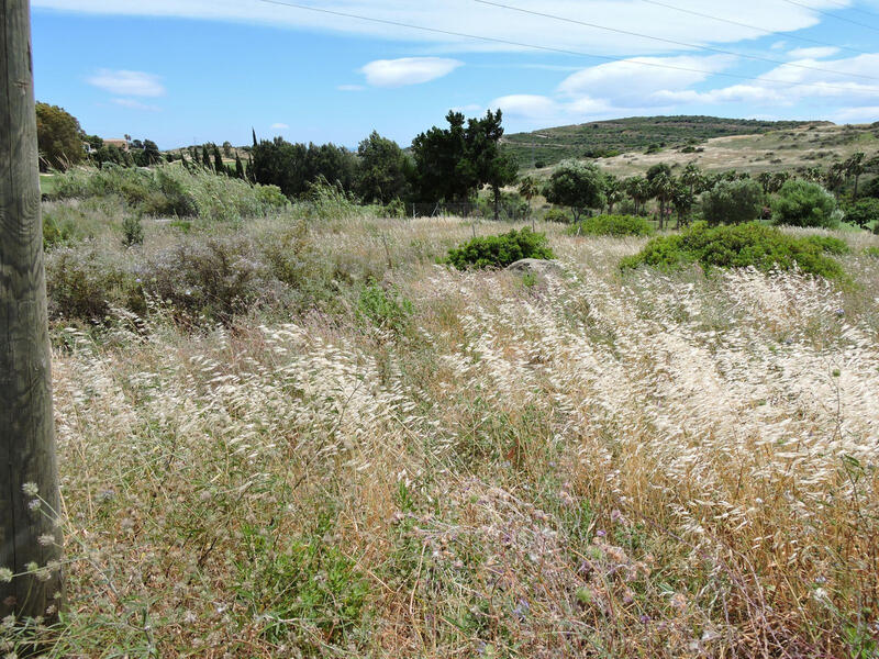 Terrenos en venta