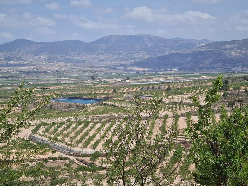 Landa till salu i Pinoso, Alicante