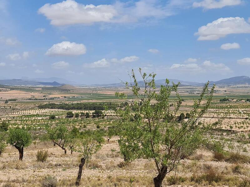 Terrenos en venta