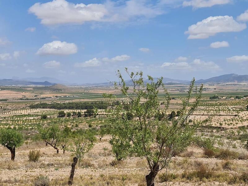 Terrenos en venta