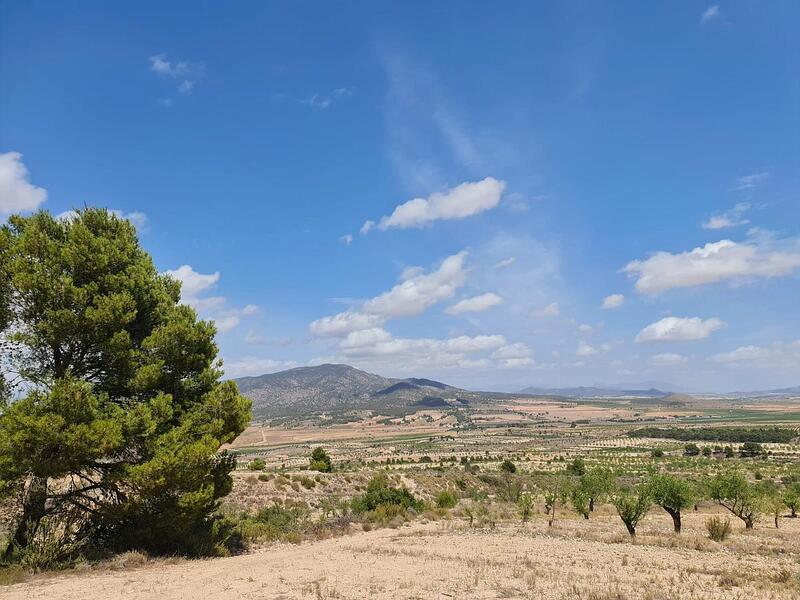 Terrain à vendre