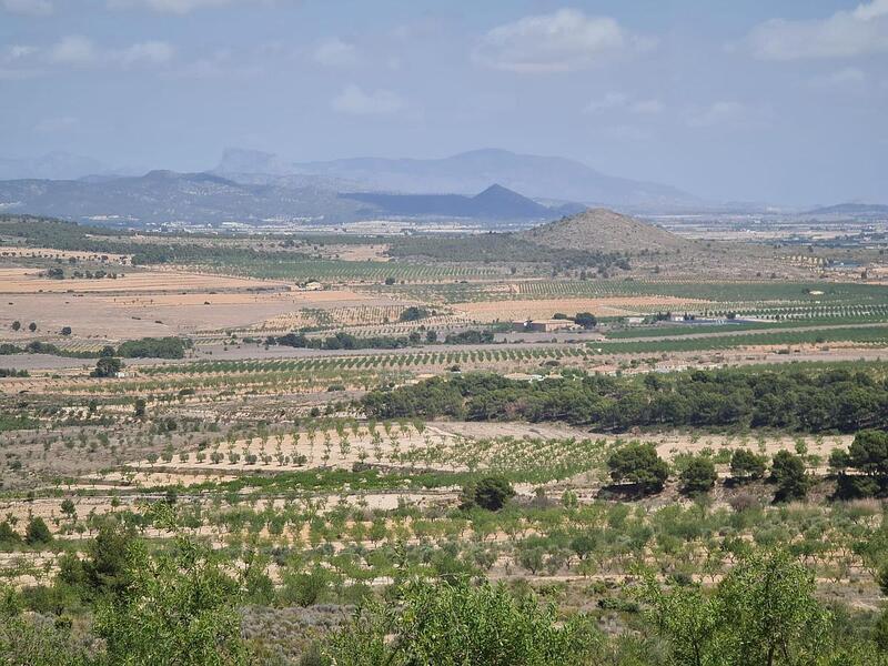 Terrenos en venta