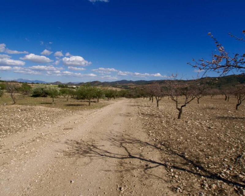 Terrain à vendre dans Murcia, Murcia