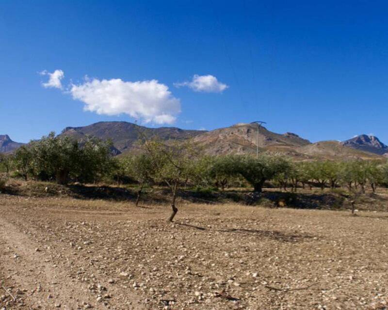 Terrenos en venta