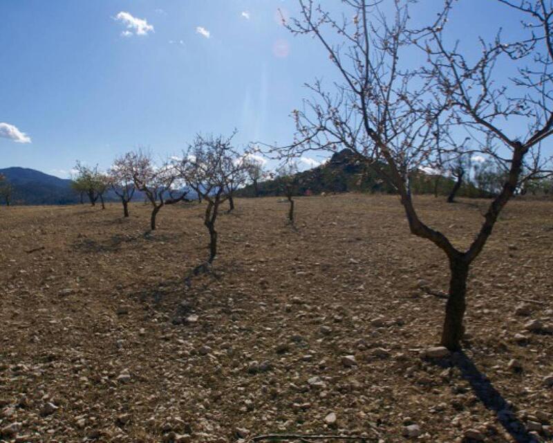 Terrain à vendre