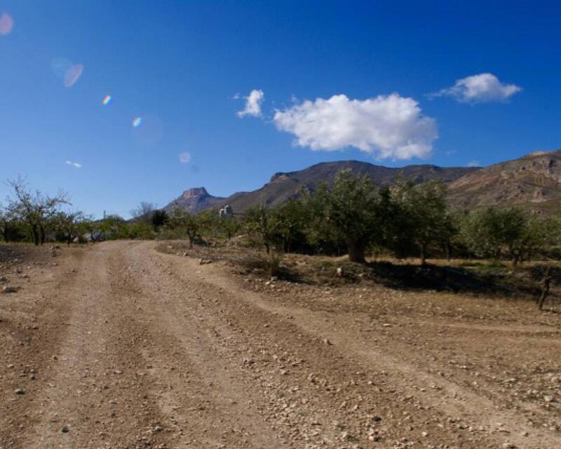 Terrenos en venta