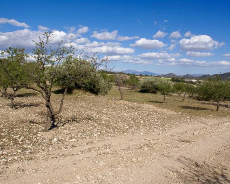 Terrenos en venta