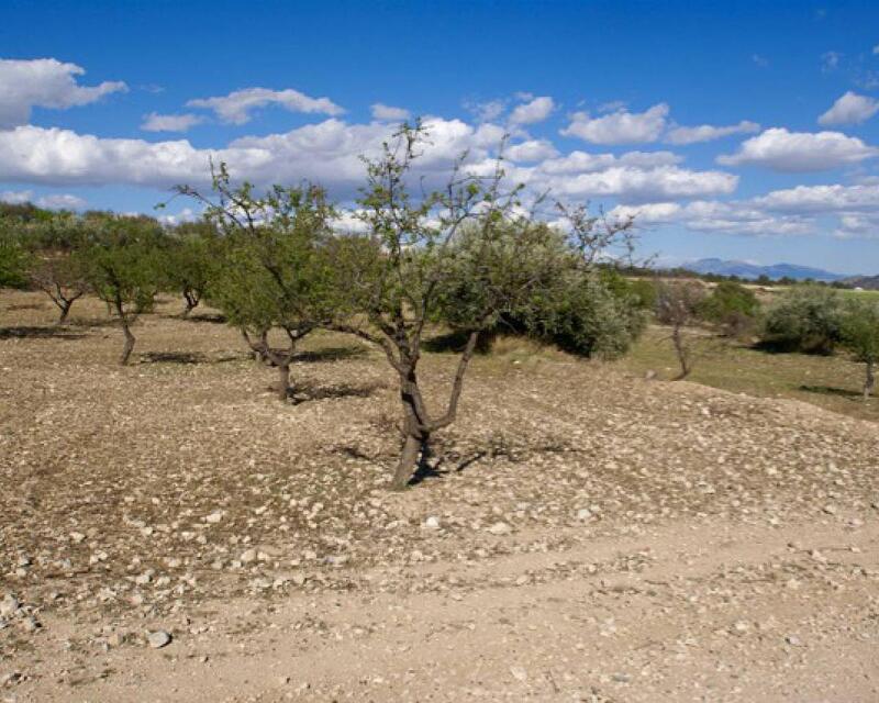 Terrain à vendre