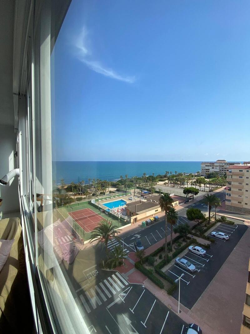 Appartement zu verkaufen in Torrevieja, Alicante