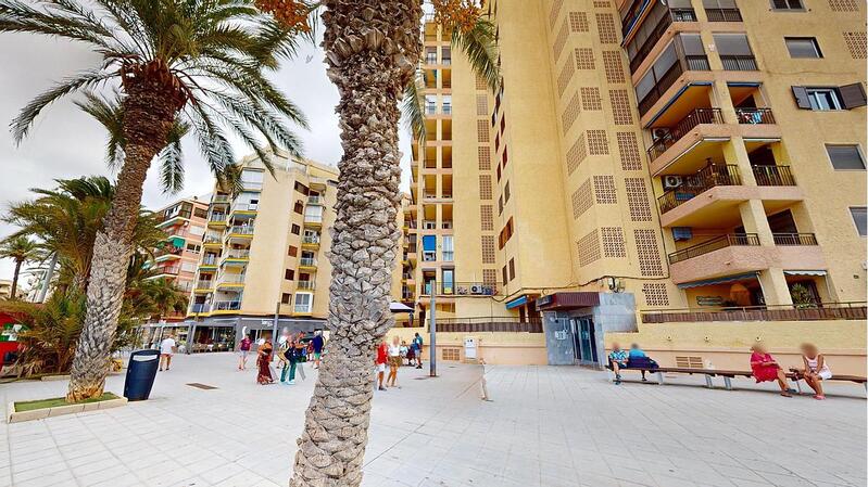 5 Cuarto Apartamento en venta