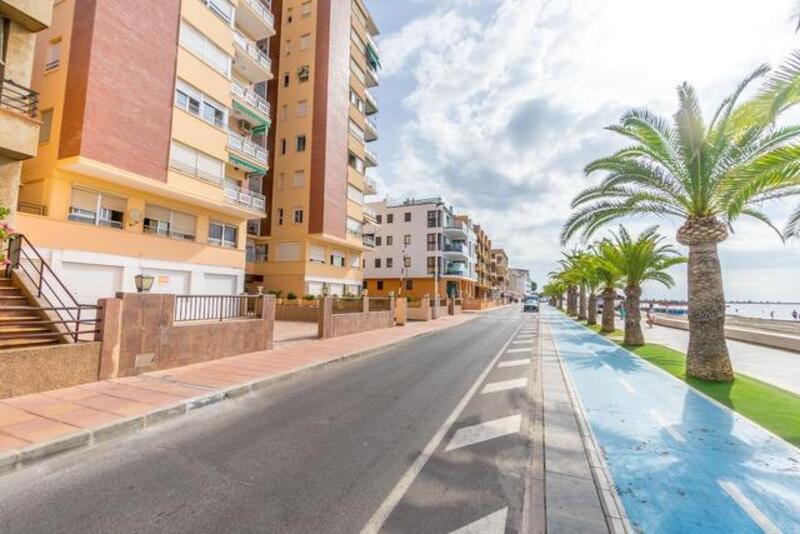 3 Cuarto Apartamento en venta