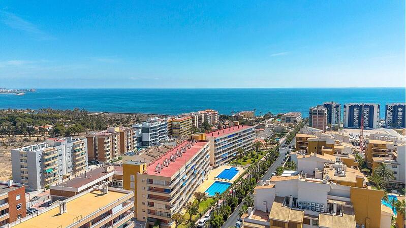 Appartement zu verkaufen in Torrevieja, Alicante