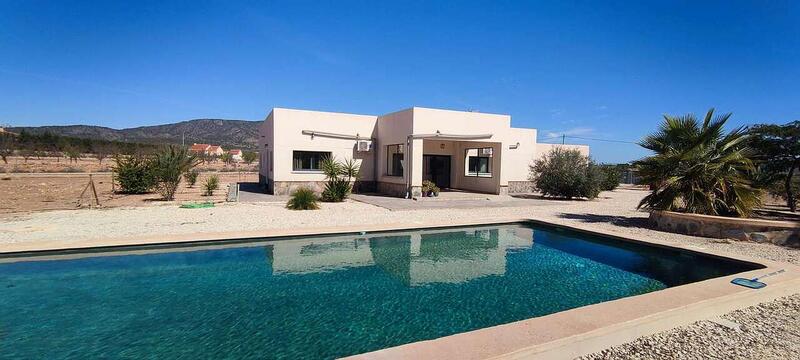 Villa for sale in Pinoso, Alicante