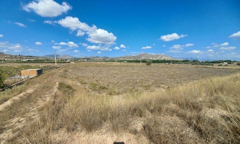 Land for sale