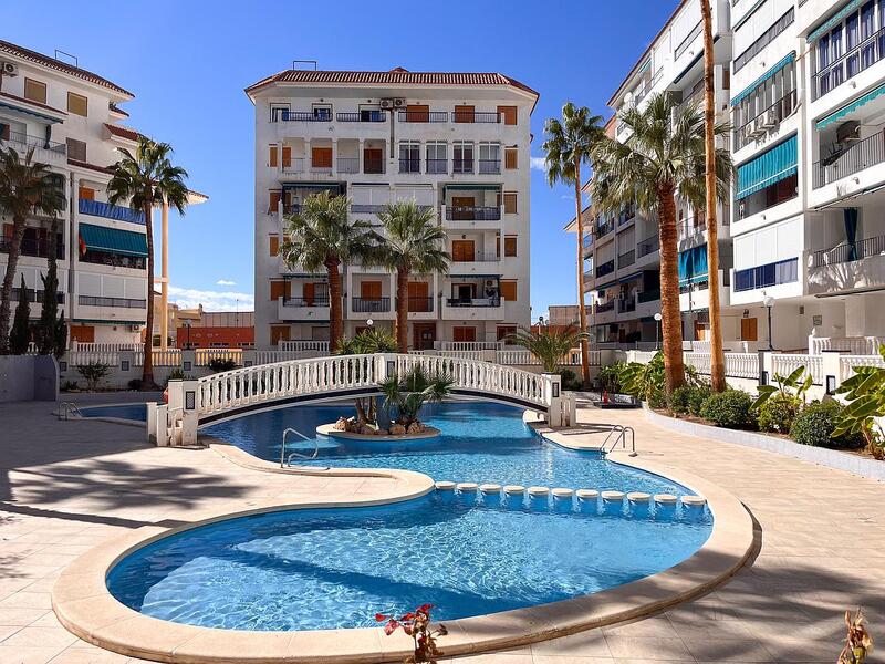 Appartement zu verkaufen in Torrevieja, Alicante