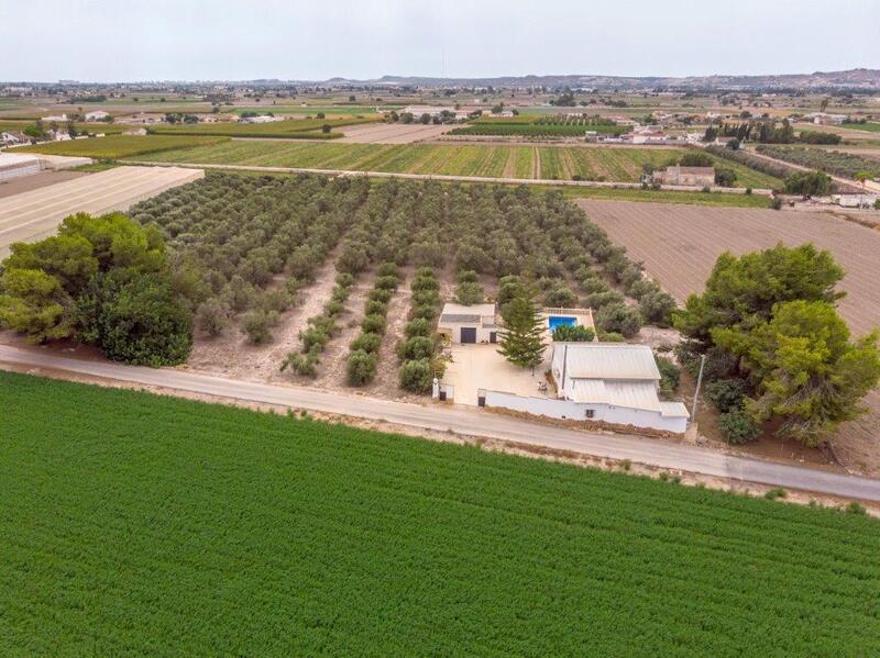 Auberge à vendre dans Dolores, Alicante