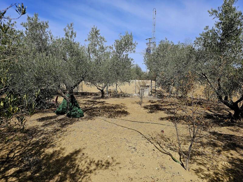 Auberge à vendre dans Doñana del Guadalhorce, Málaga