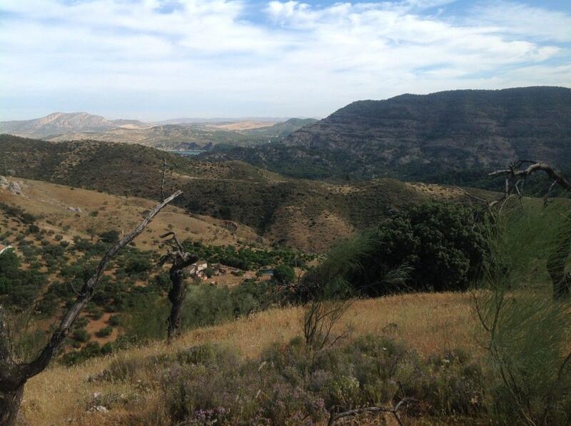 Terrain à vendre dans Ardales, Málaga